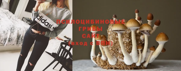 дурь Новочеркасск
