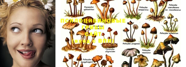 MDMA Лиски