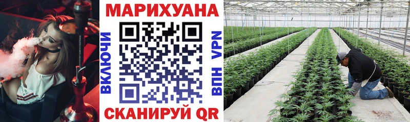 Каннабис MAZAR  Руза 